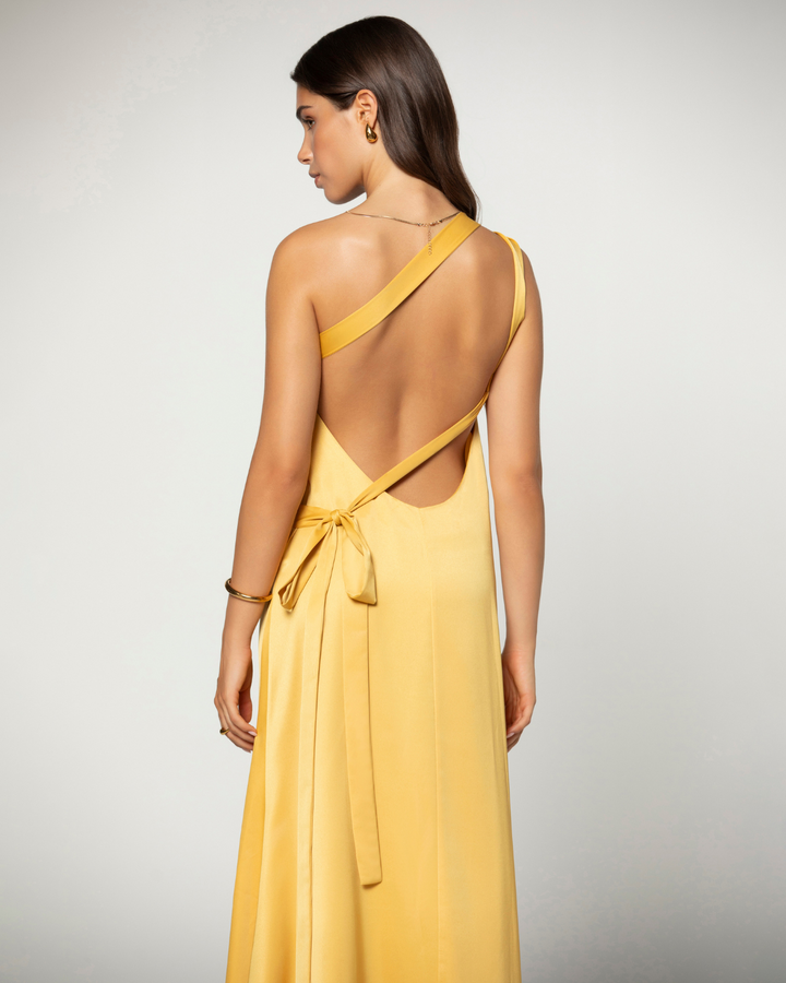 Amara Maxi Dress